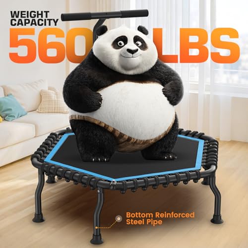 ANCHEER 50" Rebounder Trampoline for Adults- 2026 Foldable Mini Trampoline with Bar- Exercise Trampoline for Adults, Max Load 560lbs, for Indoor/Garden Workout