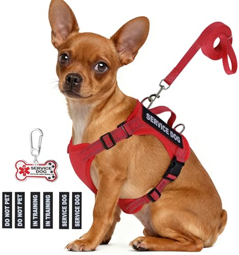 Service Dog Vest for Small Breed Dogs with ID Tag – Lightweight Puppy Harness and Leash Set with 6 PCS Patches, Ideal Service Animal Vest for Training, Complete Service Dog Gear, Red, M