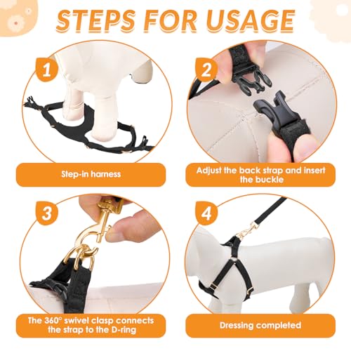 Lukovee No Pull Small Dog Harness and Leash Set - Adjustable Lightweight Soft Puppy Vest, Step-in Pet Harness with 49in Leash for Daily Walking Small Medium Dogs (Black, XS) - color: Black, size: X-Small (4.5-11 lb)
