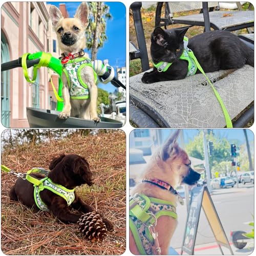 Step in Dog Harness and Leash Set, Flower Adjustable Easy Walk Puppy Harnesses, Soft Mesh Pet Vest Harness Small Size Dog Adjustable No Pull Dog Harness for Small Dogs and Cats(Dinosaur1, XS)
