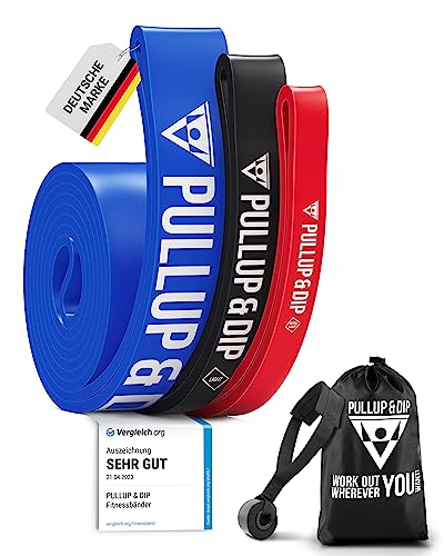 Pullup & DIP Fitness Bands, Resistance Bands with Bag, Door Anchor (with Sets) and Exercise Guide - Single & in Value Set, Pull-Up Band Fitness Band for Calisthenics
