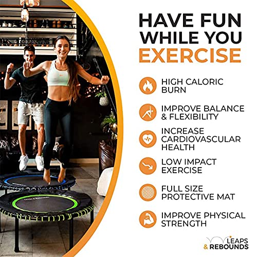 LEAPS & REBOUNDS 48" Adjustable Stability Bar Attachment with 48" Mini Fitness Trampoline and Home Gym Rebounder for Cardio Exercises, Gray