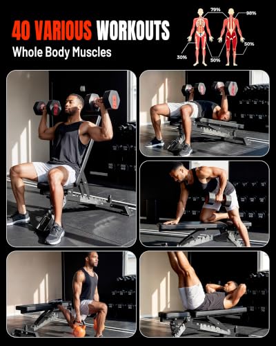 Mikolo Weight Bench - 1300 Weight Capacity and 40 Adjustable Positions for Full Body Workouts, Incline, Decline and Flat Setting for Garage and Home Gym