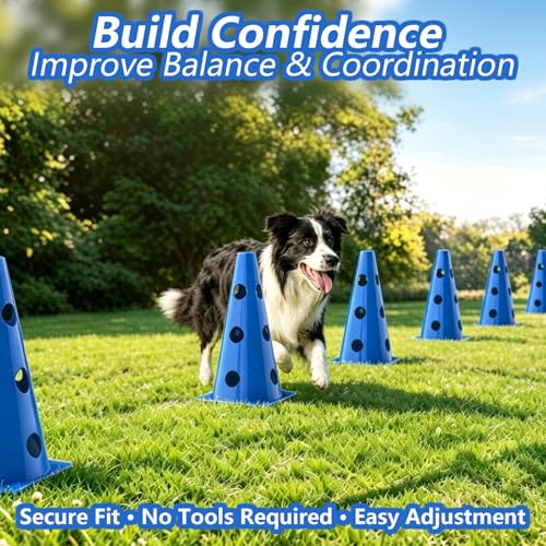 Dog Agility Cone Hurdle Set, 3 Adjustable Heights, 12 Pack - size: 12-Pack Hurdle Cone