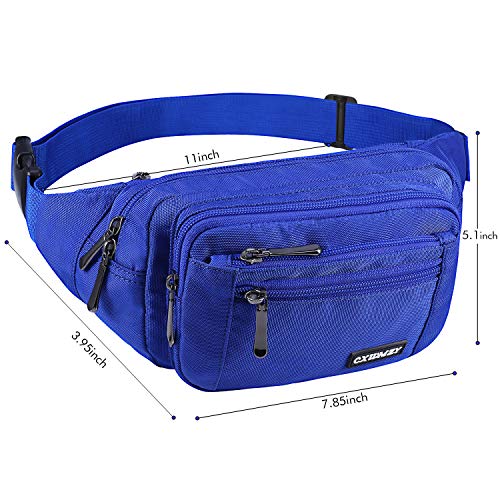 CXWMZY Fanny Packs For Women & Men Waist Pack Hip Bum Bag with Multi-Pockets Large Capacity Waterproof Casual Bum Bag for Disney Traveling Casual Cycling Running Hiking - color: Blue