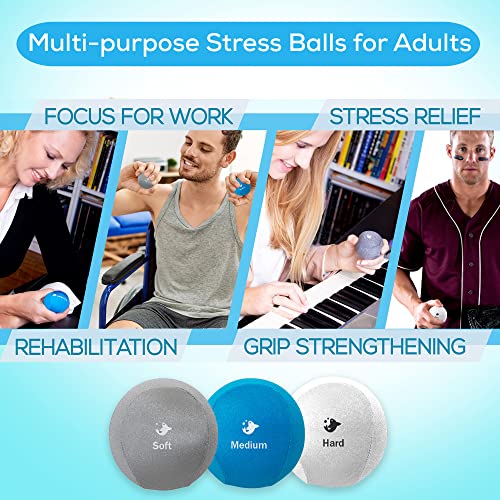 Serenilite Hand Therapy Exercise Stress Ball Bundle - Tri-Density Stress Balls for Adults & Grip Strengthening - color: Cloud, Sea Breeze, Titanium Holiday Set