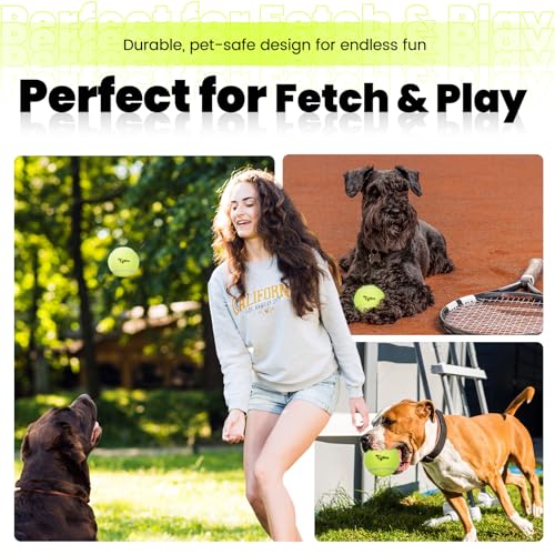Egles 12/20/60 Packs Tennis Balls for Training and Dogs, High Elasticity Practice Tennis Ball with Mesh Bag for Transport and Beginner Exercise, Durable Pet Playing Tennis Ball Set