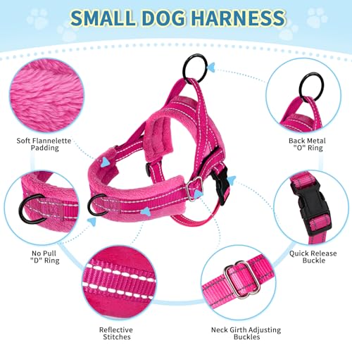 SlowTon No Pull Small Dog Harness and Leash Set, Puppy Soft Vest Harness Neck & Chest Adjustable, Reflective Lightweight Harness & Anti-Twist Pet Lead Combo for Small Medium Dogs (Fuchsia, XS)