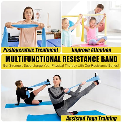 Resistance Exercise Band Kit,4 Pack Resistance Bands for Women or Men,Physiotherapy Recovery Fitness Band for Mobility Strength & Rehab Premium Quality