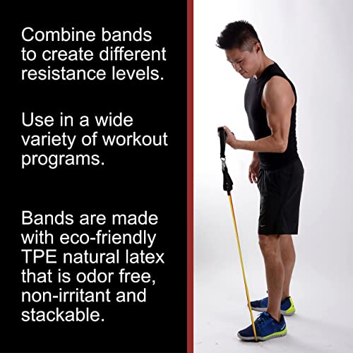 BodyForge Resistance Bands, Exercise Bands, Resistance Bands for Working Out, Work Out Bands with Handles for Men and Women Fitness, Strength Training Home Gym Equipment - size: 2 Pack
