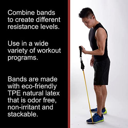 BodyForge Resistance Bands, Exercise Bands, Resistance Bands for Working Out, Work Out Bands with Handles for Men and Women Fitness, Strength Training Home Gym Equipment - size: 2 Pack