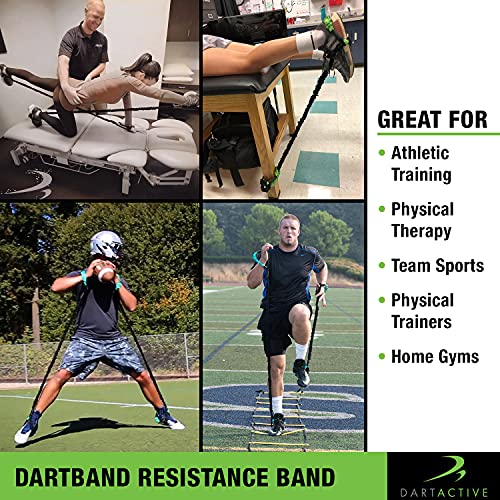 DartBand Premium Resistance Bands with Handles,Door Anchor,and Carabiner Clip for Athletic Training,Rehab,Strength Training,Yoga,Physical Therapy,Home Workout Solution-Medium Resistance - style: Resistance Bands