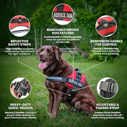 Service Dog Vest Harness - Durable & Adjustable Vest for Dog with Reflective Straps, Removable Patches, 50 ADA Cards, Handle & D-Ring, Travel and Daily Use,Bright Red, Small 19.5"-25"