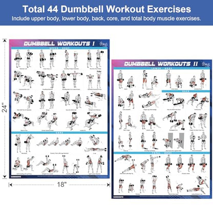 goremote Dumbbell Workout Poster Set (2 Pack) for Home Gym Exercise