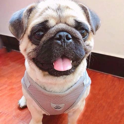 Dog Harness and Leash Set for Walking, Soft Mesh Adjustable Easy Control Lightweight Cat Vest Harnesses with Reflective Strips, Escape Proof Small Dogs Cats Vests