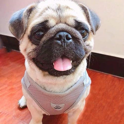 Dog Harness and Leash Set for Walking, Soft Mesh Adjustable Easy Control Lightweight Cat Vest Harnesses with Reflective Strips, Escape Proof Small Dogs Cats Vests