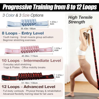 Resistance Bands Set with Numbers, 8/10/12 Loop Stretch Strap 3-Pack, Adjustable Exercise Bands for Yoga, Full Body Workout, Shaping, Stretching and Home Gym Exercise