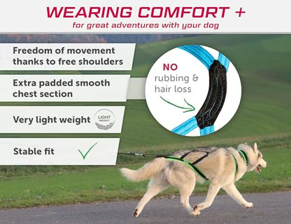 Dog Weight Pulling Harness, XBack for Canicross, Dog Sport, Bike Joring, Ski Joring, Sled Harness, Dog mushing, Dog Running Harness, Black Lightblue