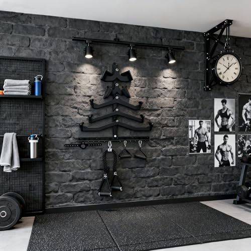 LAT Pull Down Bar Organizer Gym Storage Wall Organizer for Lat Pulldown Attachments, LAT Pull Down Bar Storage Rack for Different Cable Handles, Cable Attachments Rack for Gym Accessories