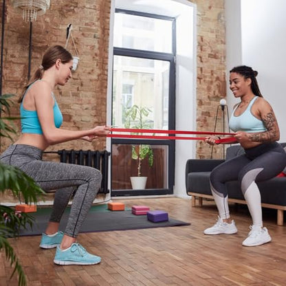 Resistance Bands for Working Out, Pull Up Assistance Bands, Exercise Bands for Men and Women, Workout Bands, Resistance Bands Set with Door Anchor, Muscle Training, Home Workout