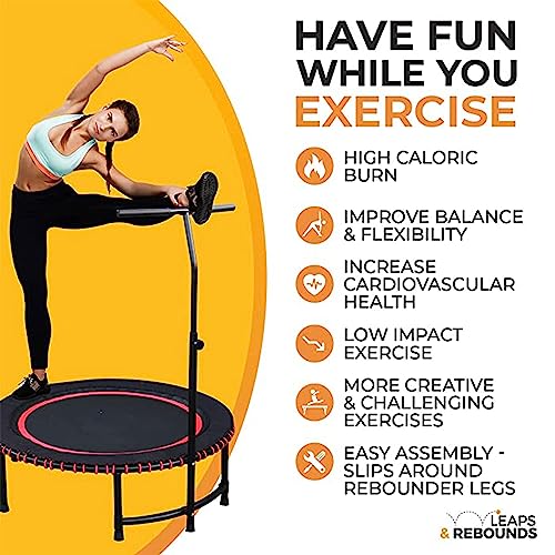 LEAPS & REBOUNDS 48" Adjustable Stability Bar Attachment with 48" Mini Fitness Trampoline and Home Gym Rebounder for Cardio Exercises, Gray