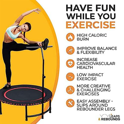 LEAPS & REBOUNDS 48" Adjustable Stability Bar Attachment with 48" Mini Fitness Trampoline and Home Gym Rebounder for Cardio Exercises, Gray