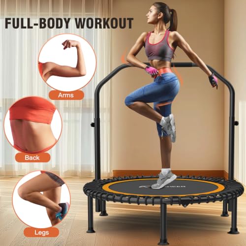 ANCHEER Fitness Trampoline,40"/48" Bungee Rebounder with Adjustable Handle - color: Orange