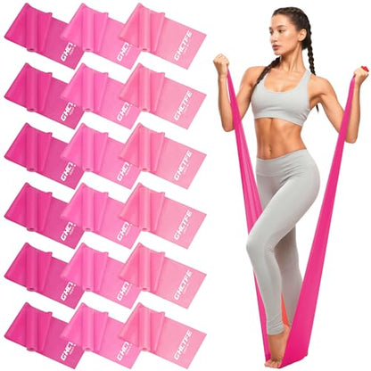 18PCS Resistance Bands Bulk, Non-Latex Physical Therapy Bands, Professional Flat Bands for Trainers, Pilates & Home Gym Full Body Workout, Strength Training, Includes 6 Sets with Carry Bags