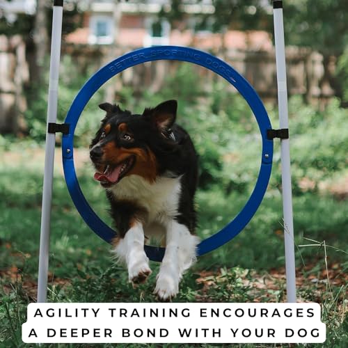 4 Pack Adjustable Dog Agility Jumps w/Safety-Focused Features | 2 Bar Jumps with Cup Strips | 2 Breakaway Tire Jumps