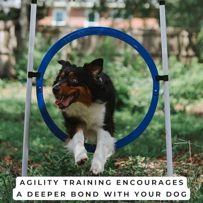 4 Pack Adjustable Dog Agility Jumps w/Safety-Focused Features | 2 Bar Jumps with Cup Strips | 2 Breakaway Tire Jumps