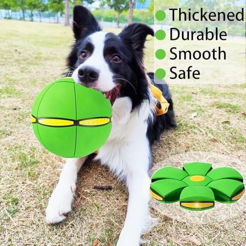 Magic Bouncing Ball, Magic Meta - Ball, Children's Magic Bouncing Balls, Doggy Disc Ball, Flying Saucer Ball, Parent-Child Interaction with Lights for Indoor & Outdoor Play Green and Blue - color: Green