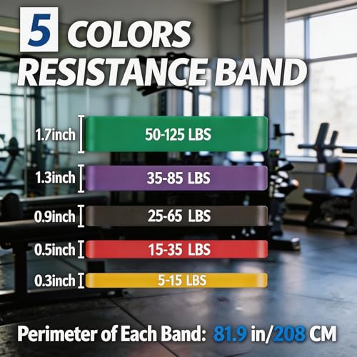 Resistance Bands, 5 Levels Exercise Bands for Men Women, Upgraded Tear Resistant Workout Band with Door Anchor,Body Stretching,Physical Therapy,Muscle Training, Pull Up Assistance Band for Working Out
