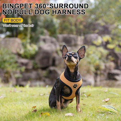 BINGPET Small Dog Harness, No Pull Step-in Puppy Pet Vest, Beige - color: Beige, size: S (NECK: 12", CHEST: 14"-18")