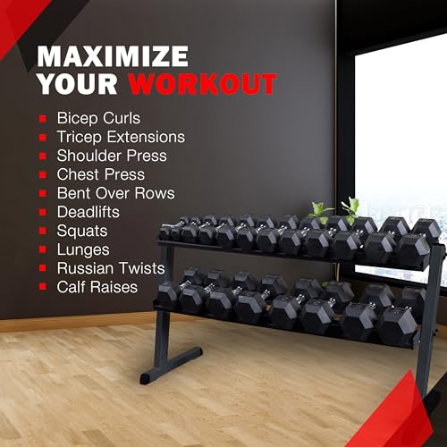 Body-Solid (GDR60B) 2-Tier Dumbbell Rack Stand Only, Heavy-Duty Dumbell Weight Storage Racks for Hand Weights, Home Gym Organizer Can Hold 5-50 lbs. Dumbbells