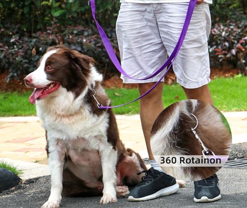 AMAGOOD Dog/Puppy Obedience Recall Training Agility Lead-15 ft 20 ft 30 ft 50 ft Long Leash-for Dog Training,Tie Out,Play,Safety,Camping (20Feet x 1Inch, Purple) - color: Purple, size: 1" x 20ft