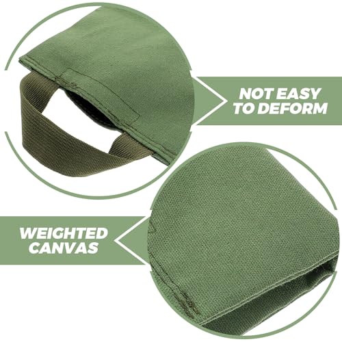 Alasum Weighted Sandbag for Fitness and Yoga 2kg Canvas Sand Bag with Handle for Leg Weights and Pilates Workout Resistance Training