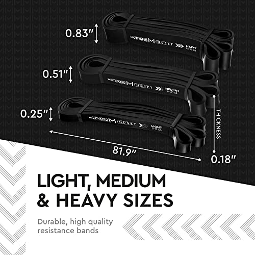 Set of 3 Resistance Bands with Travel Bag for Working Out | Heavy Duty Rubber Bands for Weightlifting and Stretching | Set of 3 (15-20lbs, 20-40lbs, 40-60lbs)