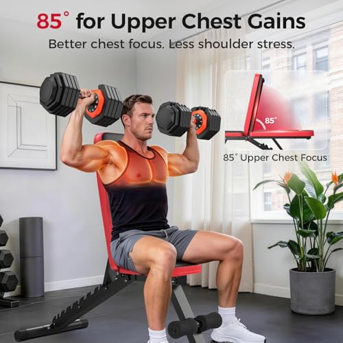Adjustable Weight Bench up to 6.5'', Dual-Support Workout Bench & 10 Backrests for Chest Shoulders Arms for Home Gym, 660LBS Capacity but Compact and Foldable Strength Bench Apartment Room
