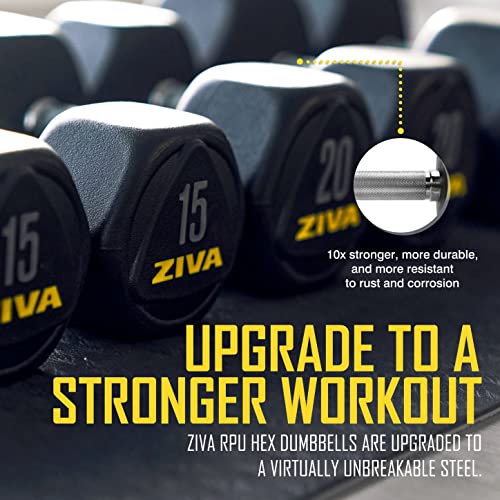 ZIVA Premium Hex Dumbbells – Commercial Grade Rubber Urethane Coated Free Weights for Strength Training, Weightlifting, Home Gym – Durable Steel Core – Sold in Pairs and Sets - style: e) 12lb BK