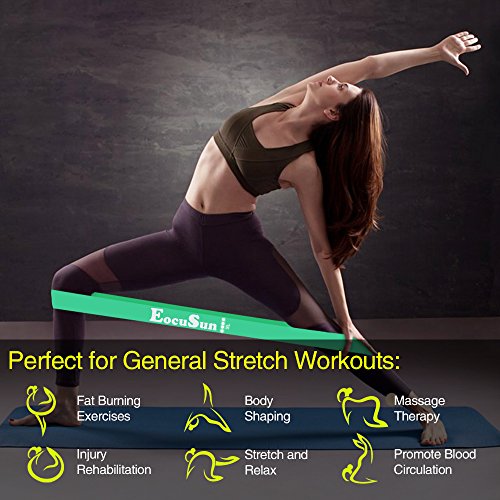Pull Up Bands, Stretch Resistance Bands, Mobility Exercise Bands, Assisted Pull Up Straps Powerlifting Band for Home Fitness, Stretching and Resistance Training, Physical Therapy, Pilates Yoga