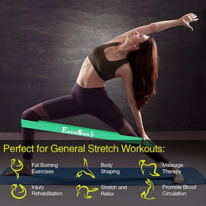 Pull Up Bands, Stretch Resistance Bands, Mobility Exercise Bands, Assisted Pull Up Straps Powerlifting Band for Home Fitness, Stretching and Resistance Training, Physical Therapy, Pilates Yoga