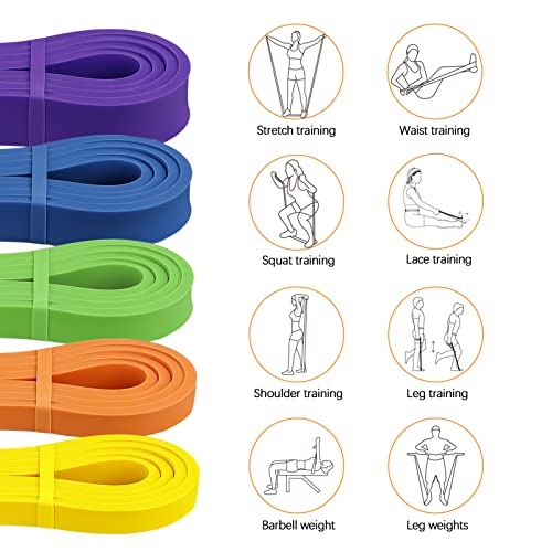 Resistance Bands Set, Pull Up Assist Bands - Stretch Resistance Band - Mobility Band Powerlifting Exercise Bands for Resistance Training, Physical Therapy, Home Workouts