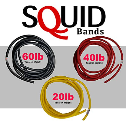 Wrestling, Jiu Jitsu, Judo, Grappling, MMA, Boxing, Muay Thai, Solo Training, Resistance Band