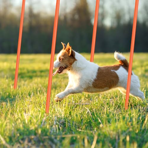 Blulu 5/10/30pcs Training Agility Pole,5ft Adjustable - color: Orange