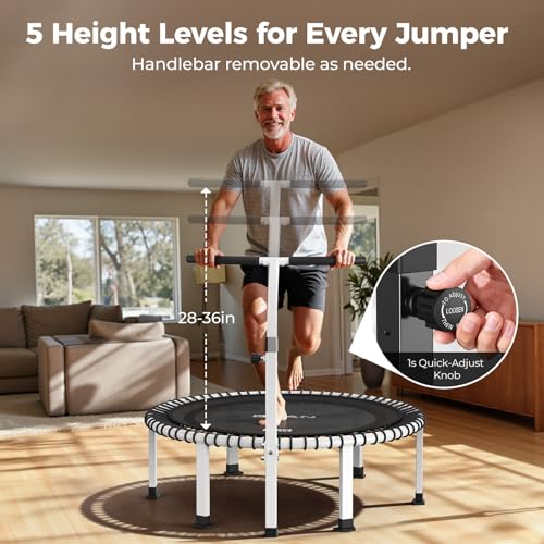 BCAN BT4 Soft Land Pro Adult Bungee Rebounder Trampoline Handle|FED Fitness - color: 40IN-White