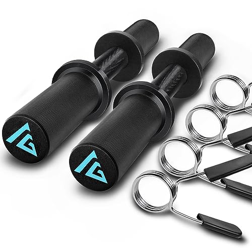 16" Olympic Dumbbell Handle, Dumbbell Bar for 2-inch Olympic Weight Plates, Loadable Dumbbells for Home Gym Strength Training, 2 Pair of Spring Collars Included - color: Black