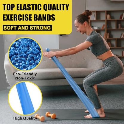 Resistance Exercise Band Kit,4 Pack Resistance Bands for Women or Men,Physiotherapy Recovery Fitness Band for Mobility Strength & Rehab Premium Quality