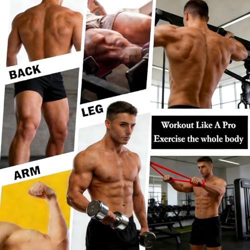 16-Pcs Resistance Bands Set - Premium Elastic Workout Bands for Home Gym, Strength Training, Yoga & Physical Therapy - color: Red(15-35 lbs)
