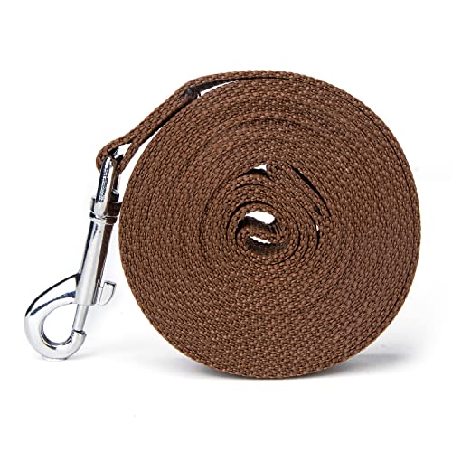Strong Durable Nylon Dog Training Leash, 1 Inch Wide Traction Rope, 6 ft 10ft 15ft Long, for Small and Medium Dog (Brown, 10 Feet)