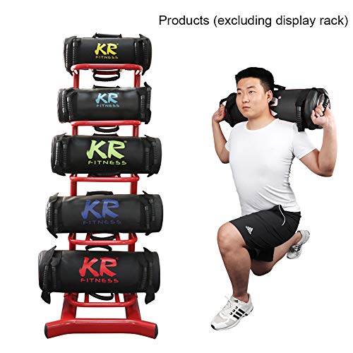 Beacon Pet Fitness Sandbag for Weight Training,Yoga, Workout and Exercise, sandbag Workout with Handles, Heavy Duty, sandbags for Fitness,Home, Gym